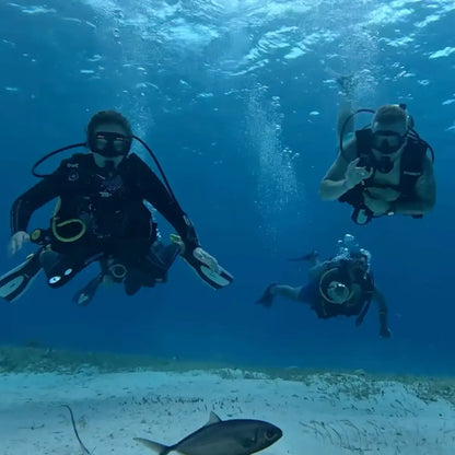 Blue Project Cozumel