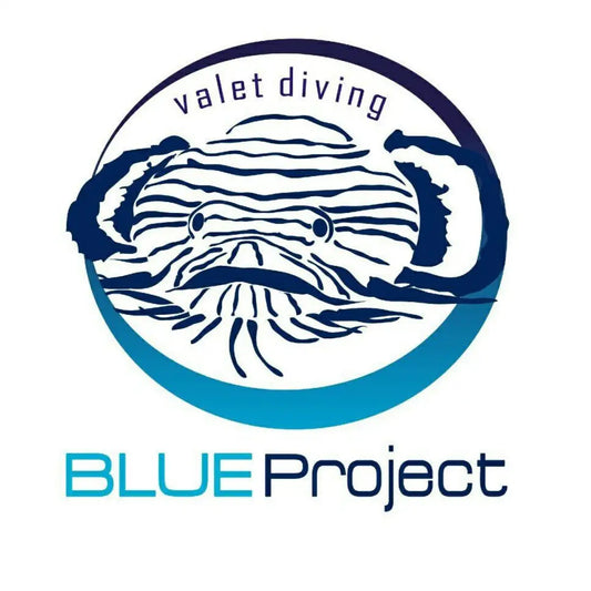 Blue Project Cozumel