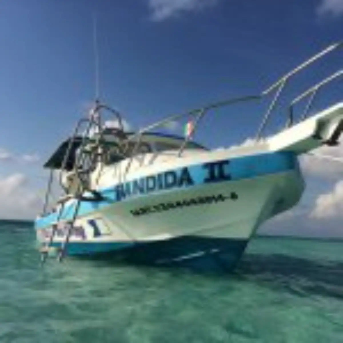 BlueXTSea Diving Cozumel