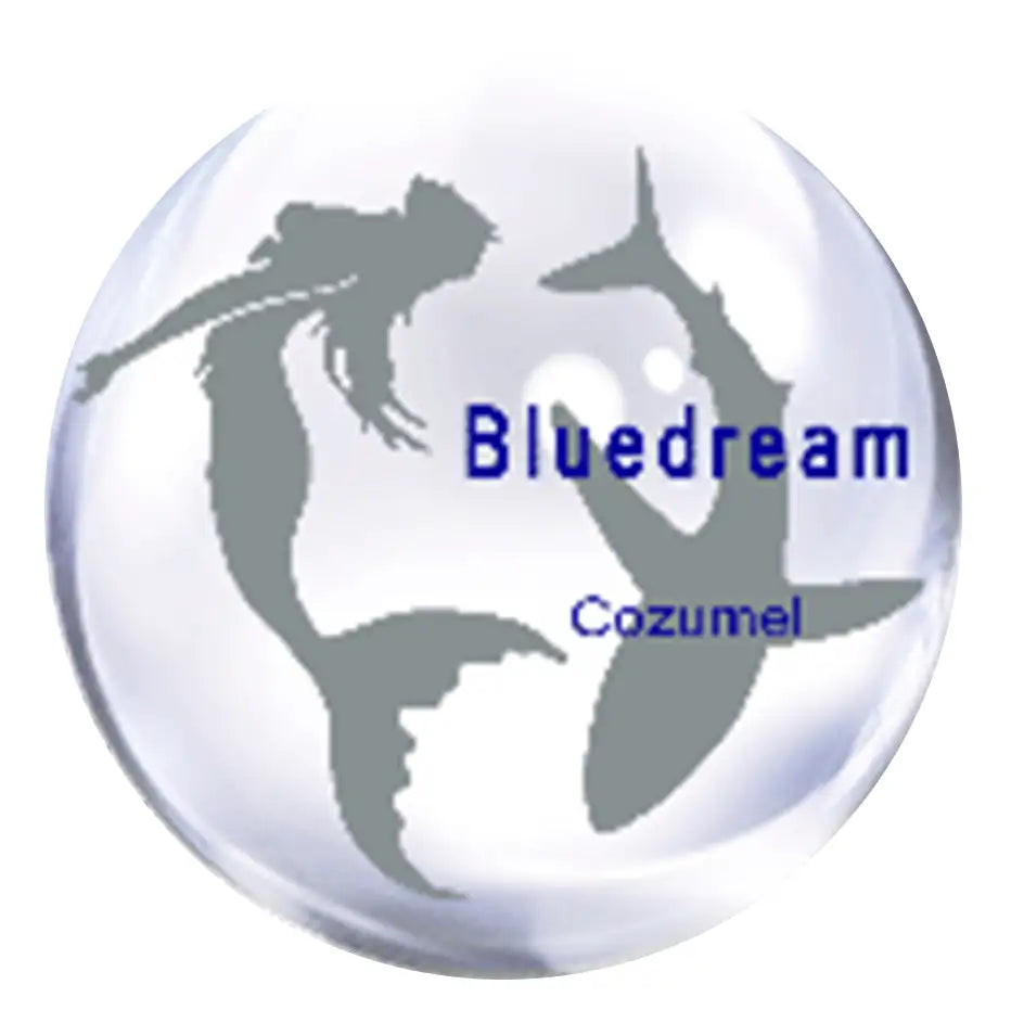Clear glass sphere featuring silhouettes of a mermaid and shark in gray, with ’bluedream’ and ’cozumel’ printed in blue text.