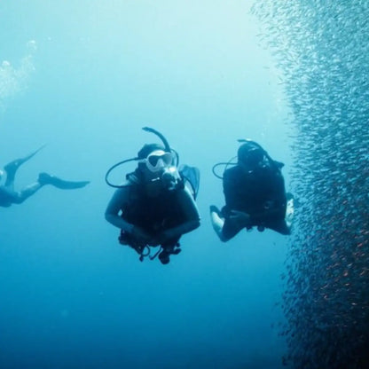 Cozumel Dive Academy