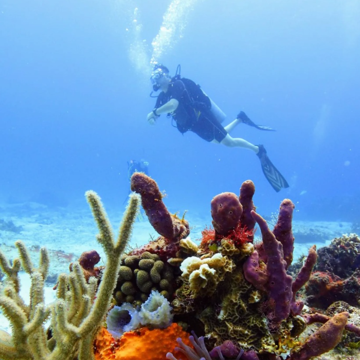 Cozumel Marine World