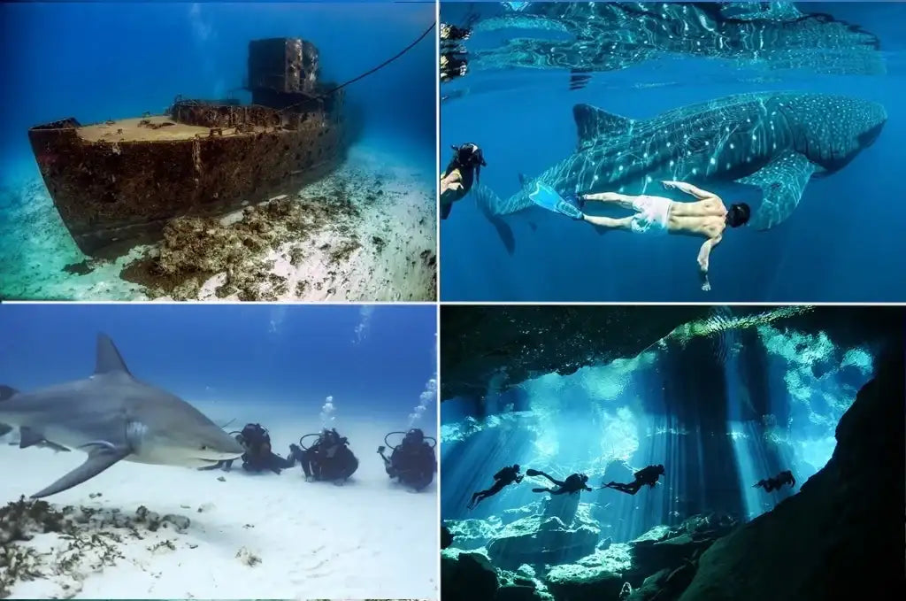The image displays four distinct underwater scenes: a rusted shipwreck, a diver swimming alongside a whale shark, scuba divers observing a great white shark from below, and swimmers exploring an underwater cave with sunlight filtering through the water.