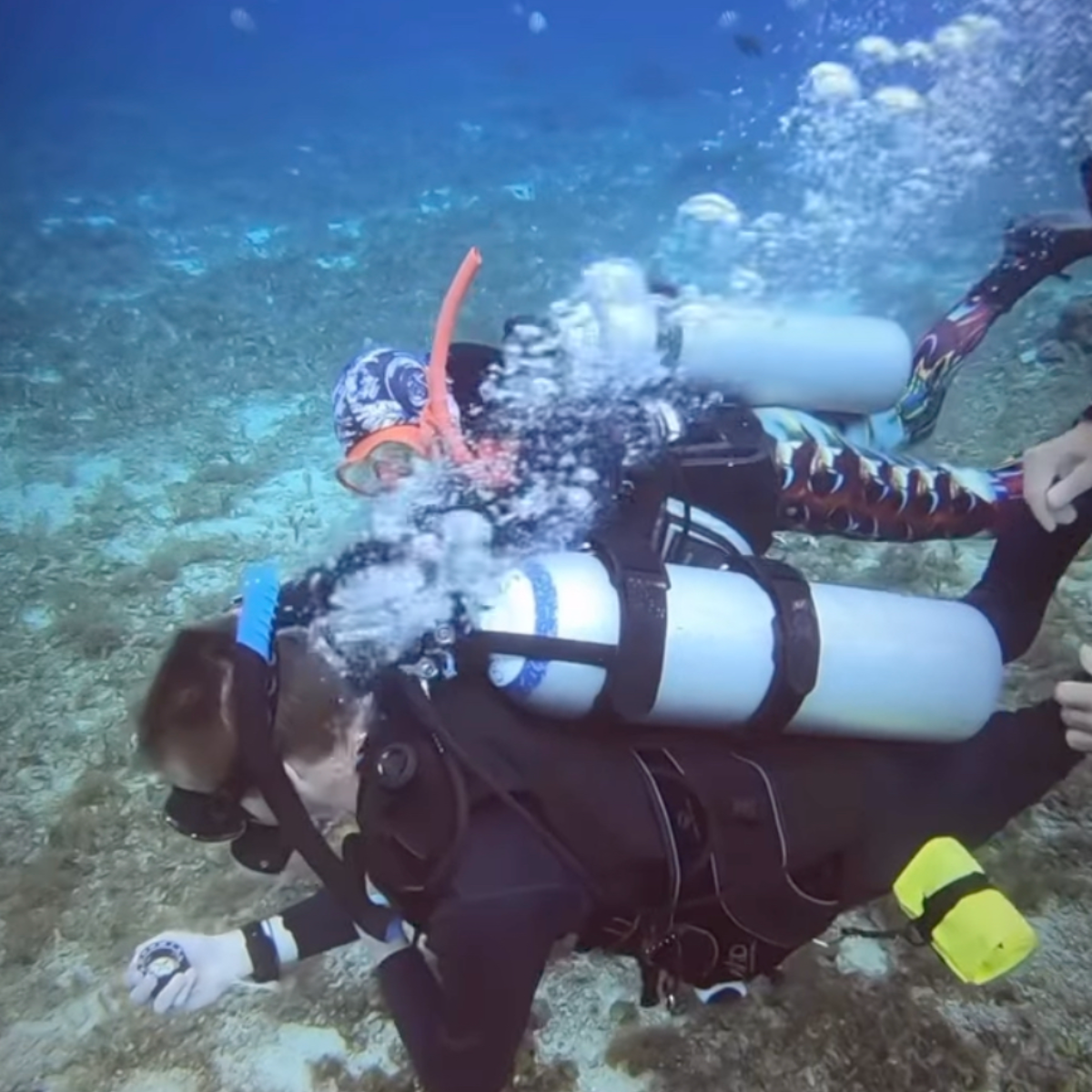 Dive Center Blue Magic Scuba in Cozumel