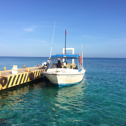 Dive House Cozumel