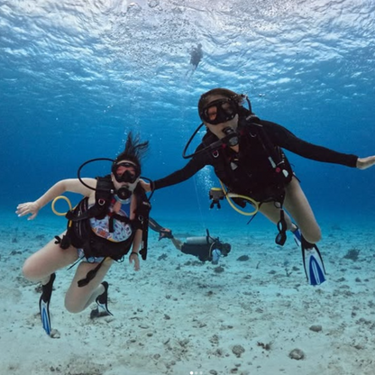 Dive Palancar Cozumel