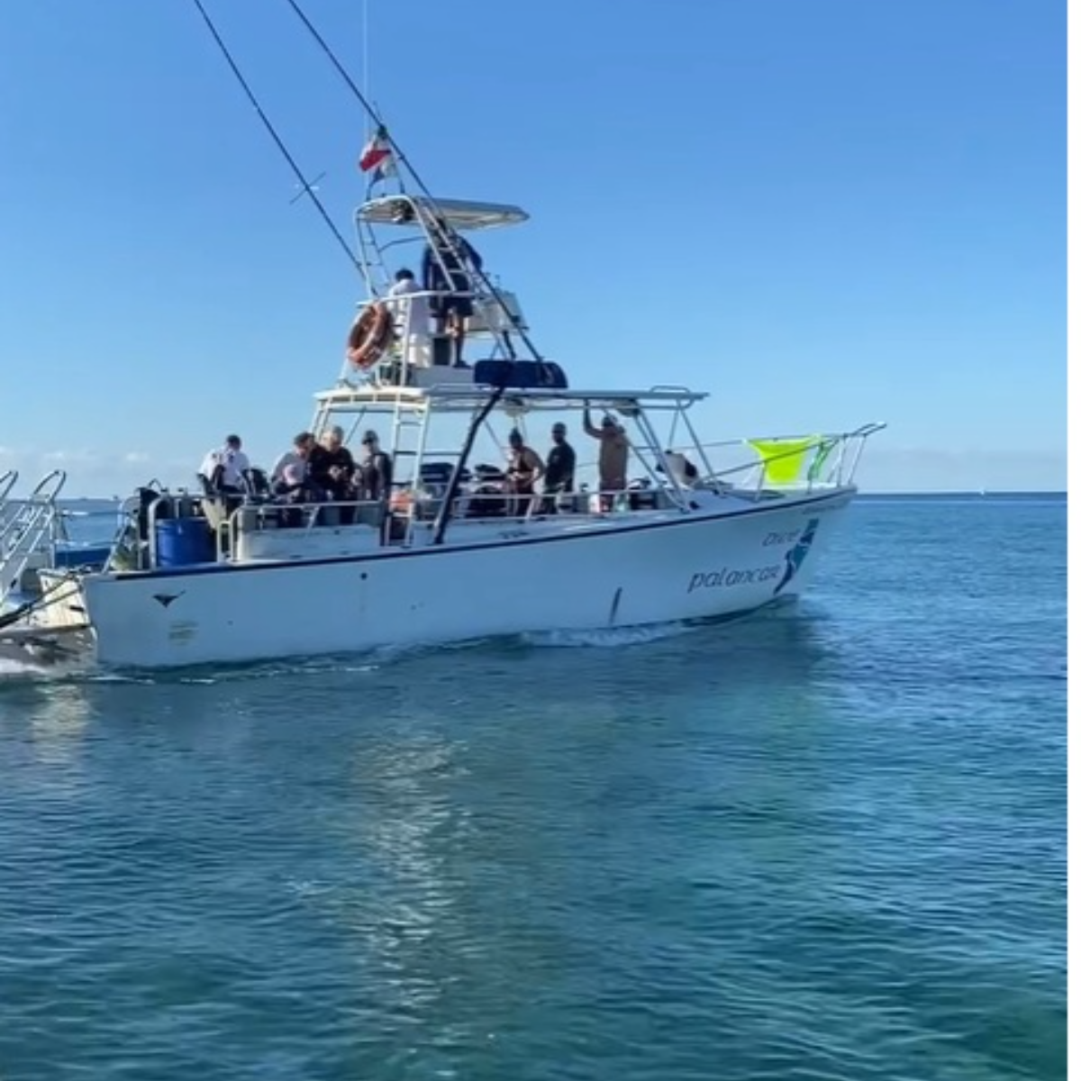 Dive Palancar Cozumel