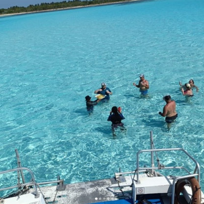 Dive Palancar Cozumel