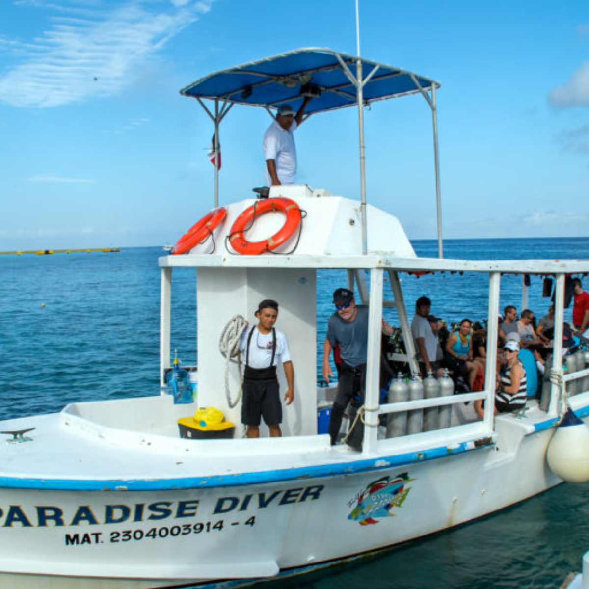 Dive Paradise Cozumel