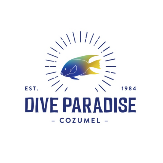 Dive Paradise Cozumel