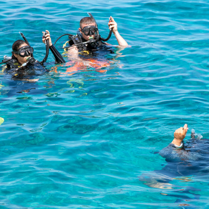 Dive Paradise Cozumel