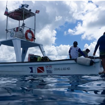 Dive With Martin Cozumel