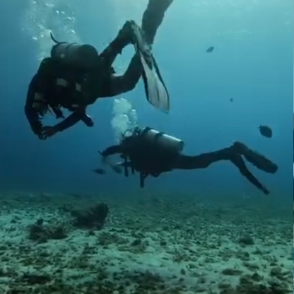 Dive With Martin Cozumel