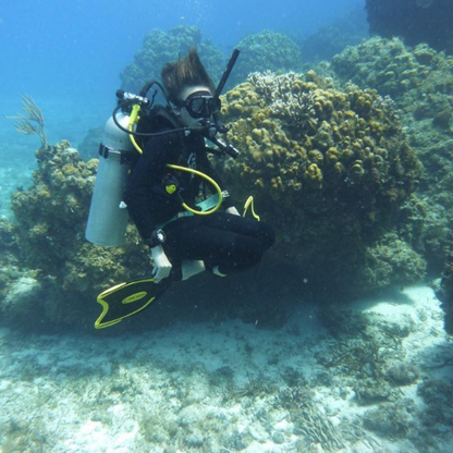 Dressel Divers Cozumel