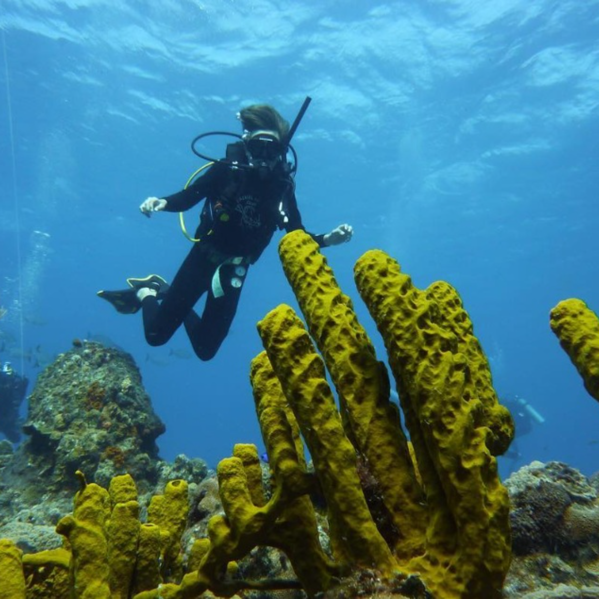 Dressel Divers Cozumel