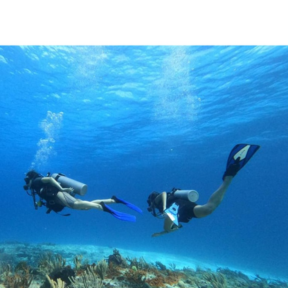 Eagle Ray Divers Cozumel