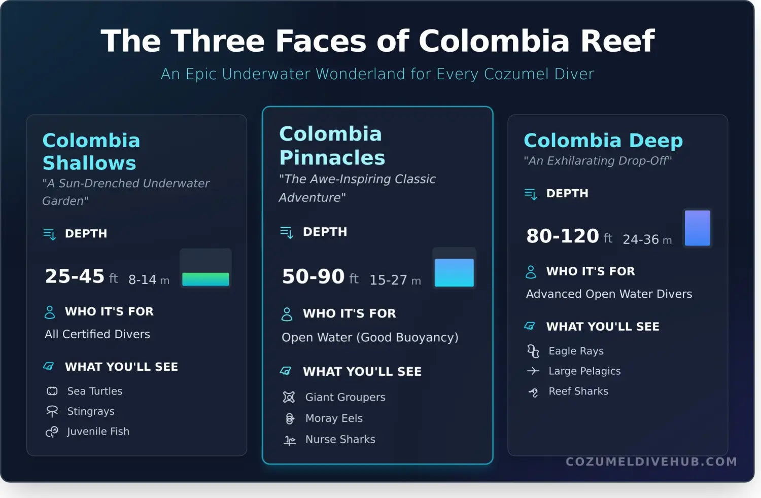 Colombia reef cozumel infographic - visual guide