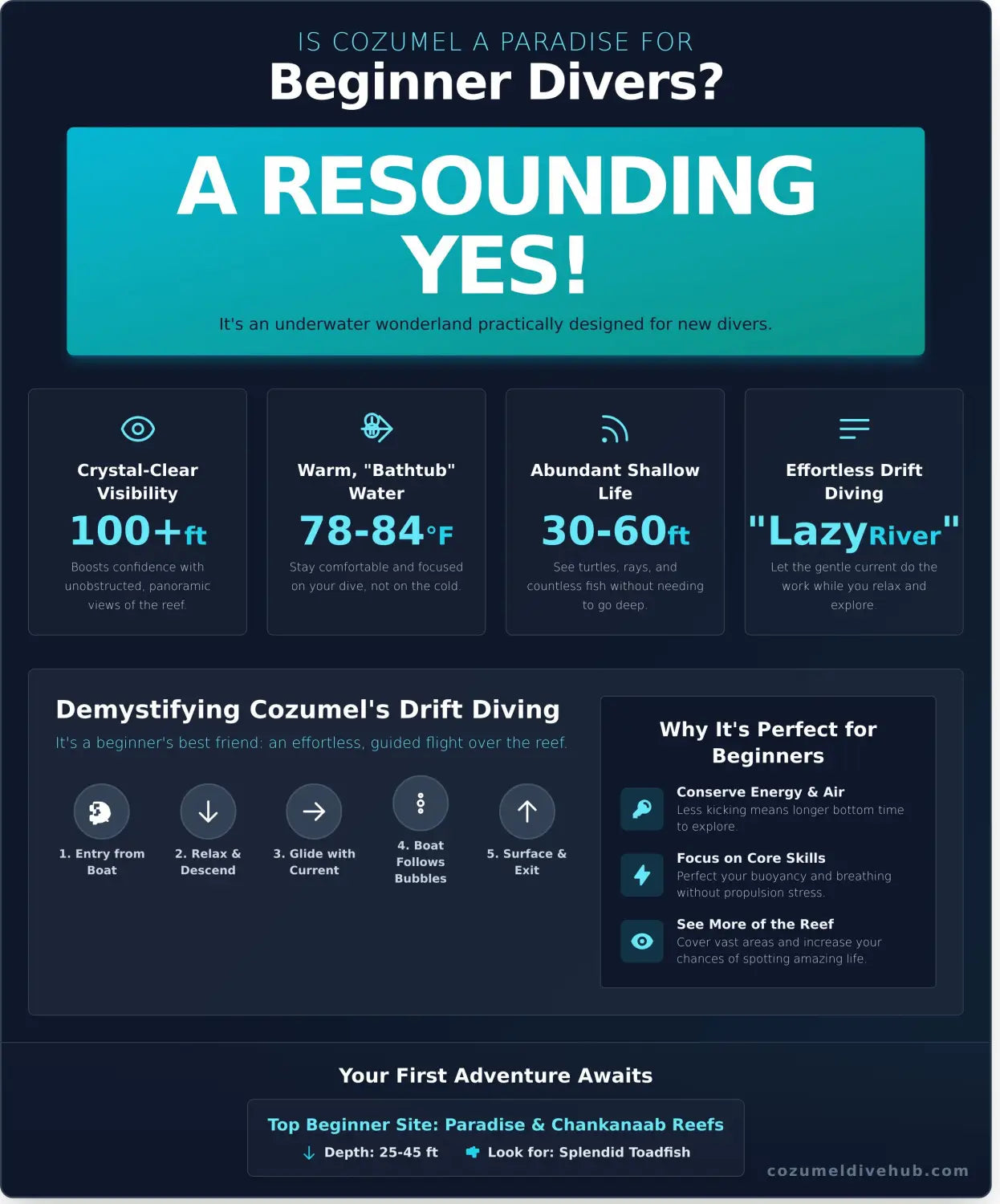 Is cozumel good for beginner divers infographic - visual guide