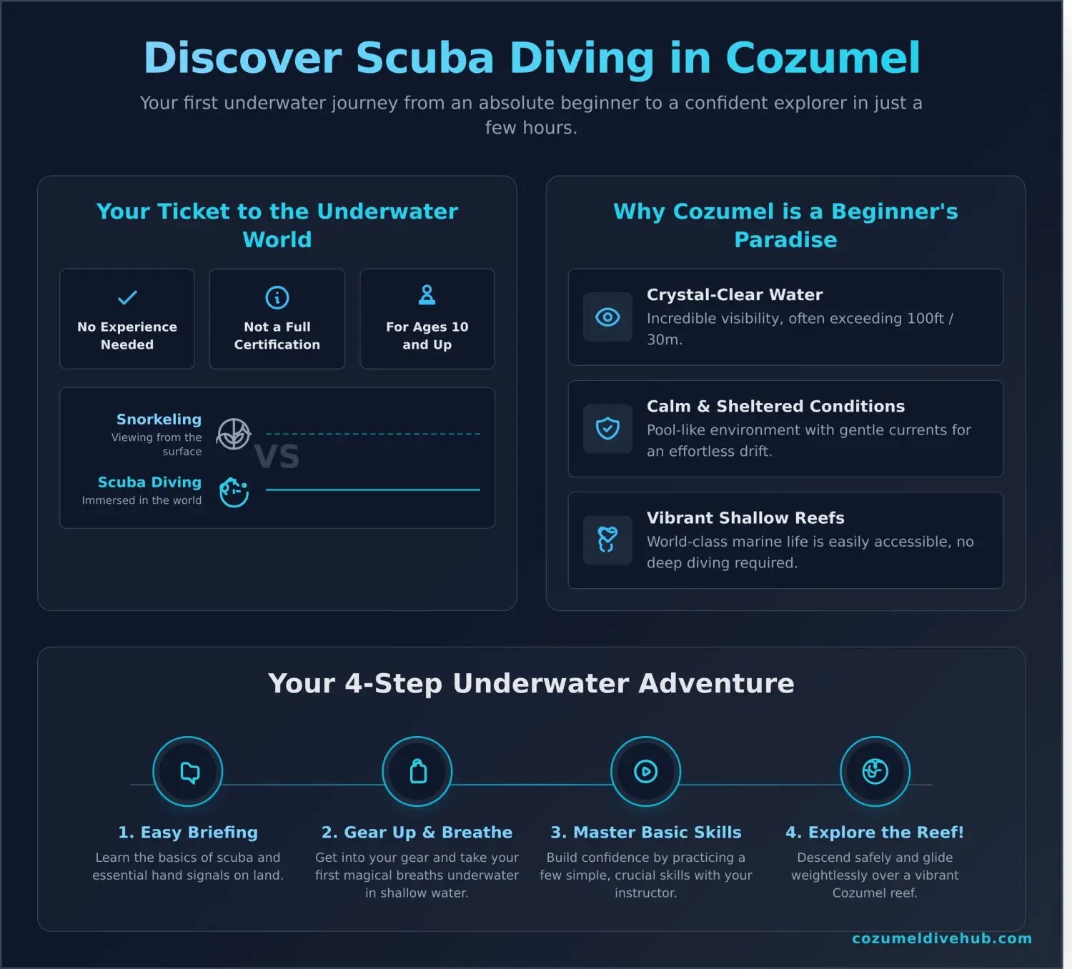 Discover scuba diving cozumel infographic - visual guide