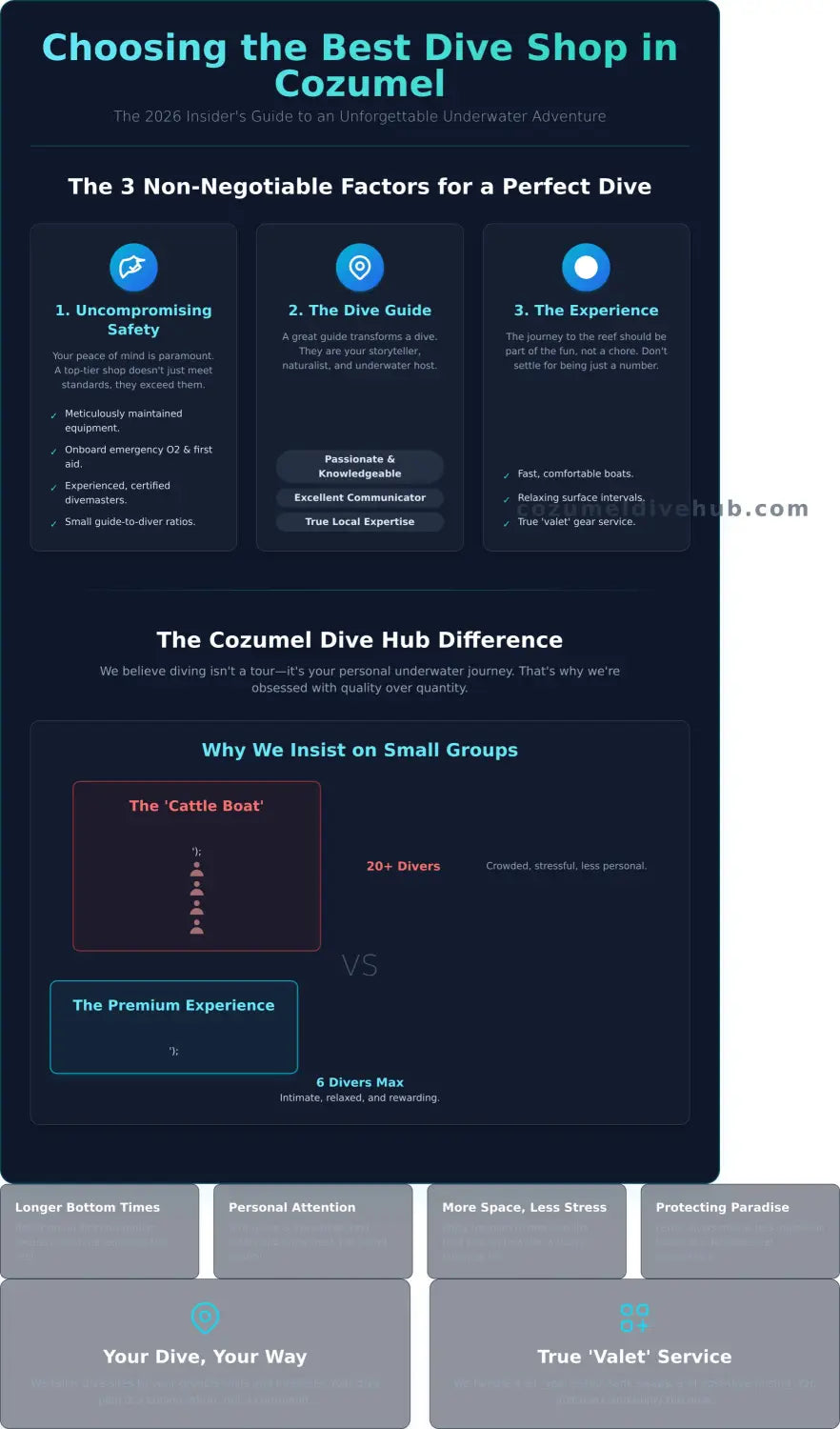 Best dive shop cozumel infographic - visual guide