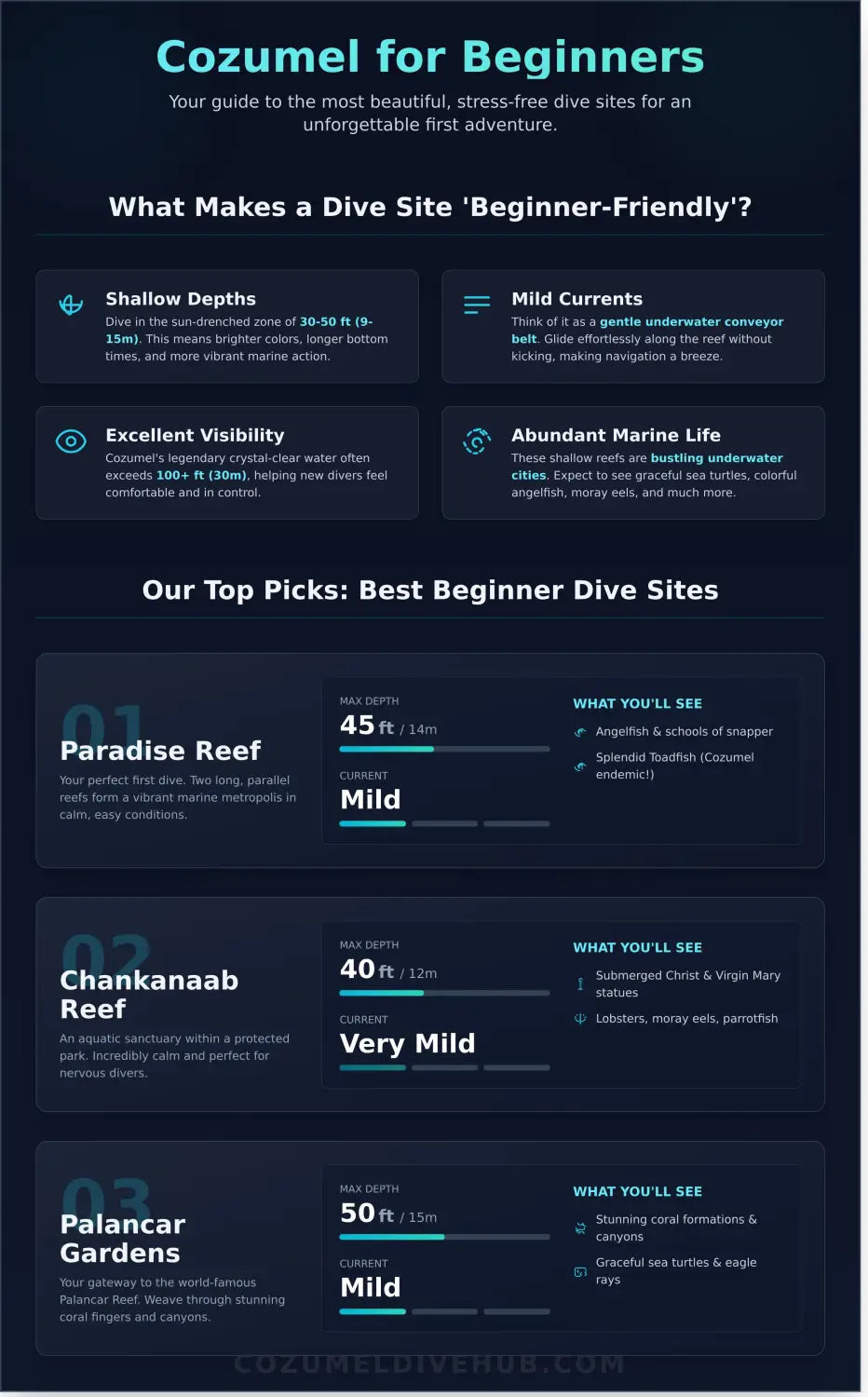 Best dive sites in cozumel for beginners infographic - visual guide