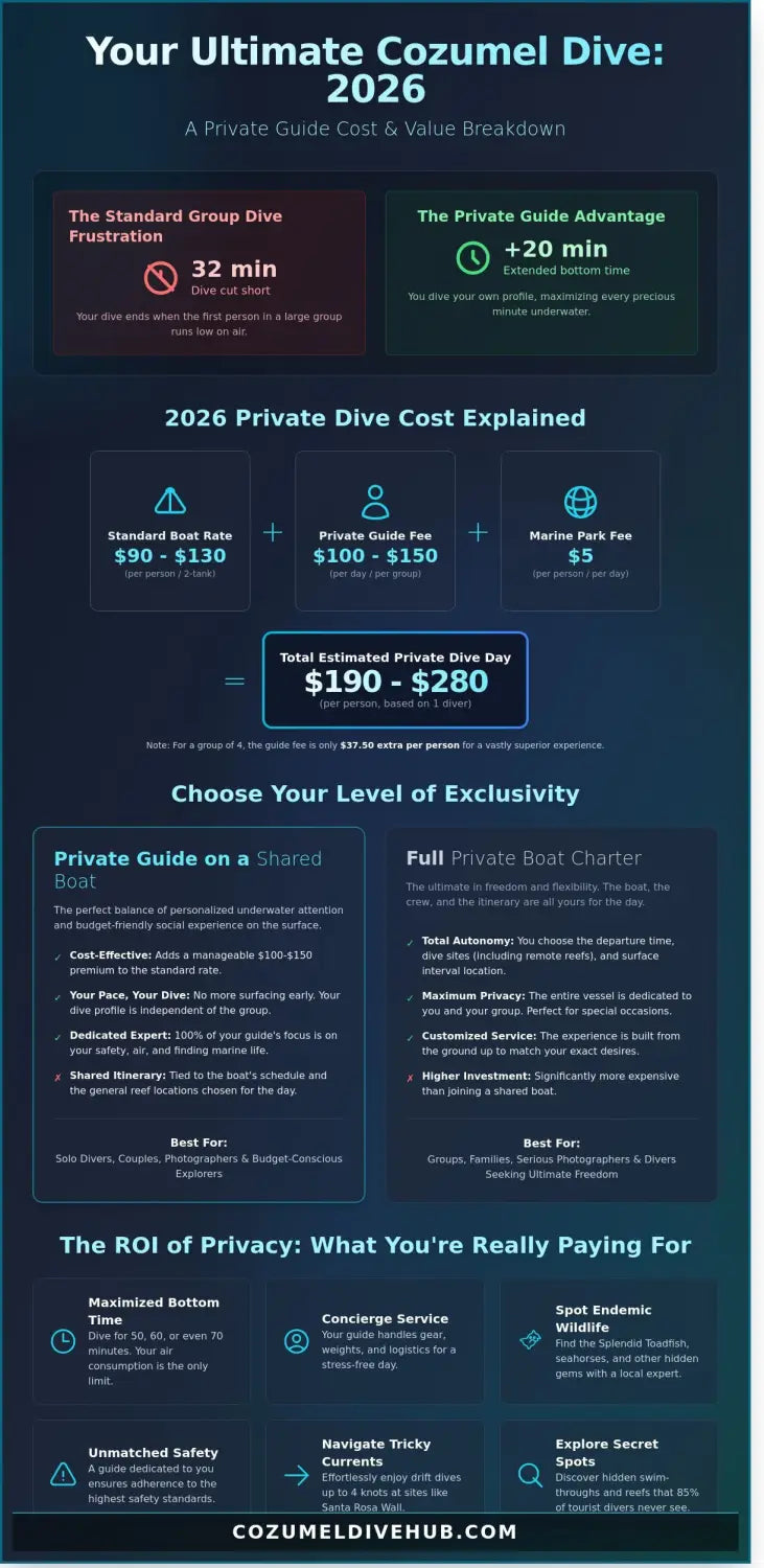 Private dive guide cozumel cost