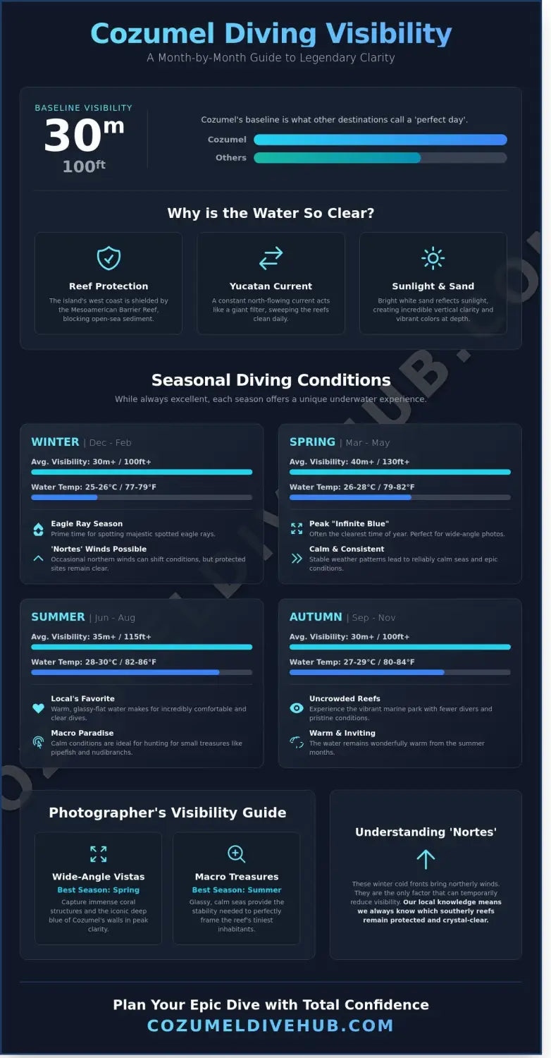Cozumel diving visibility by month