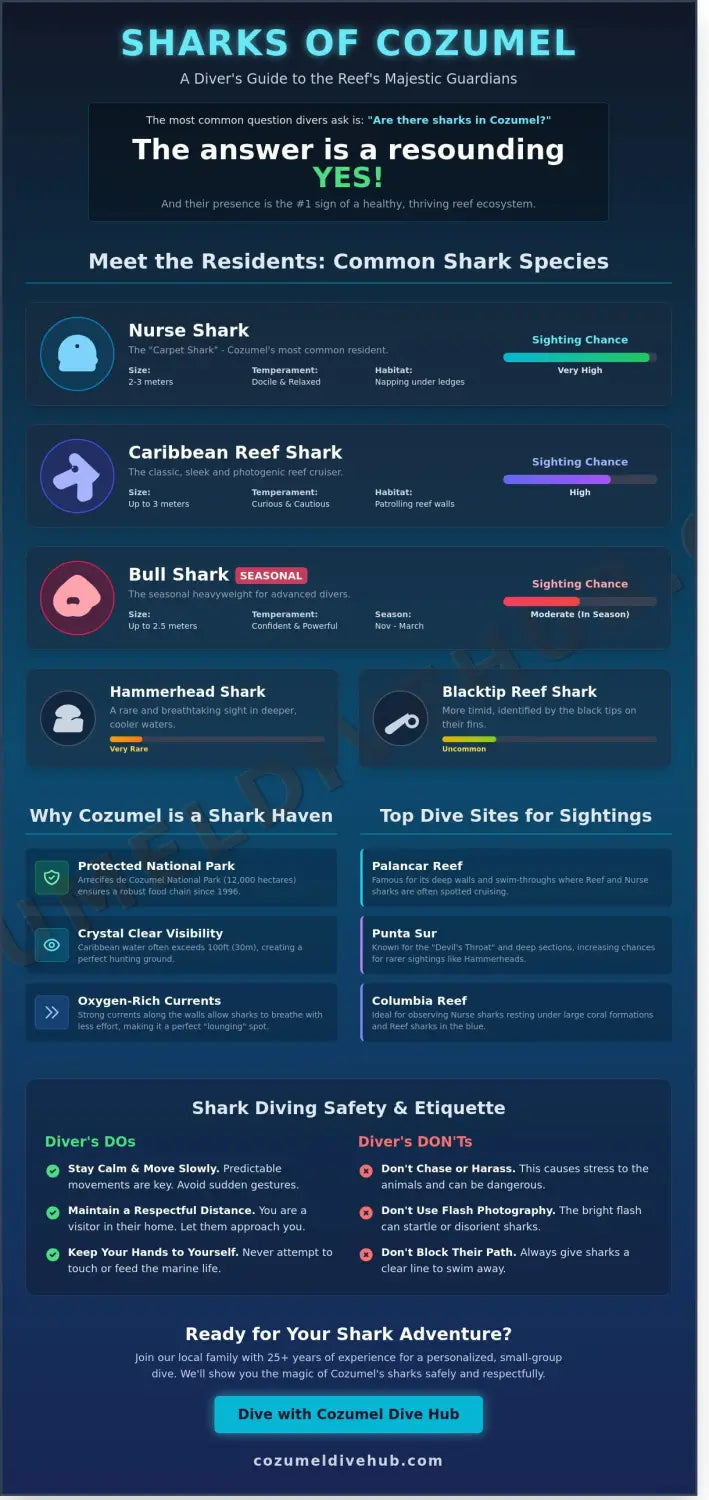 Are there sharks in cozumel dive sites
