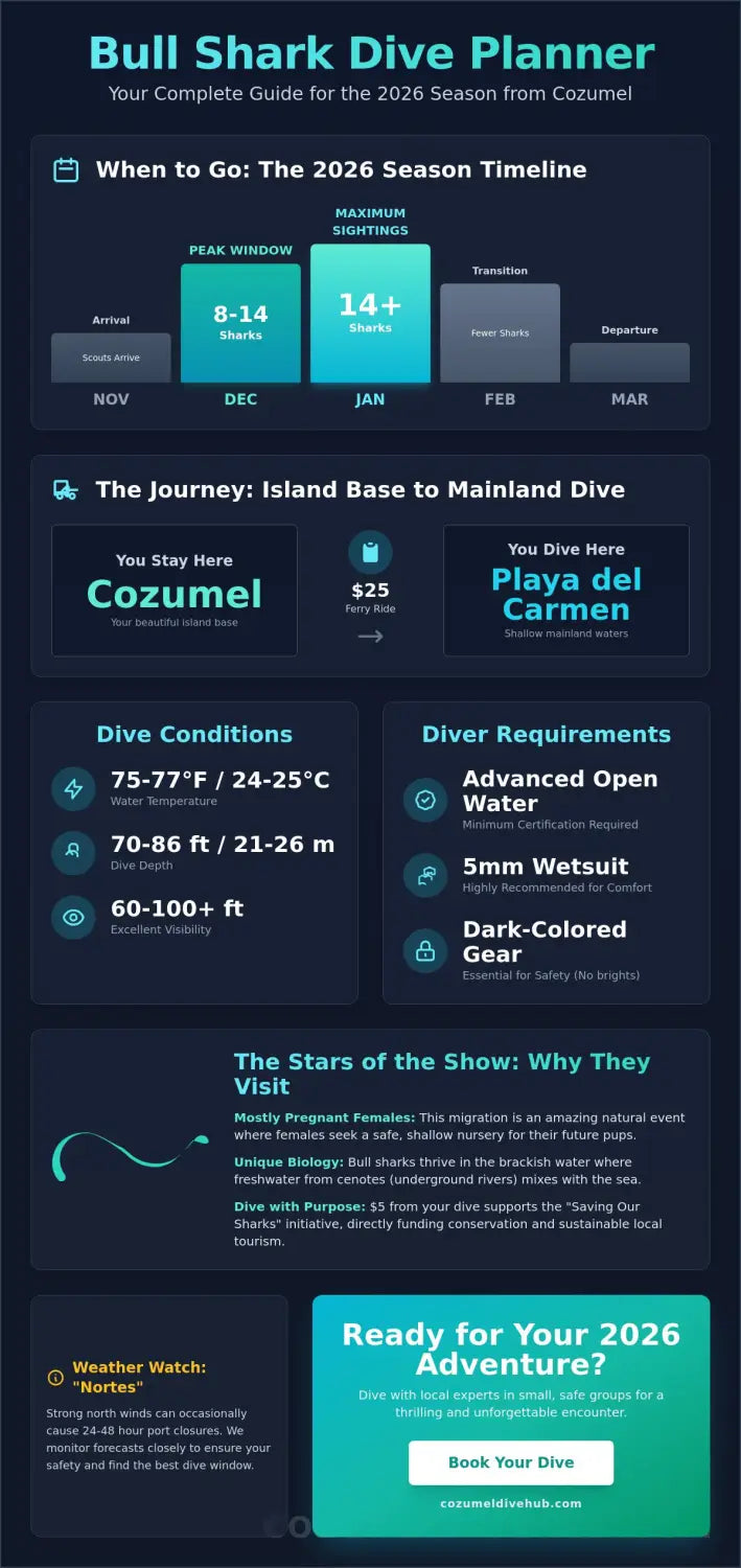 Cozumel bull shark season