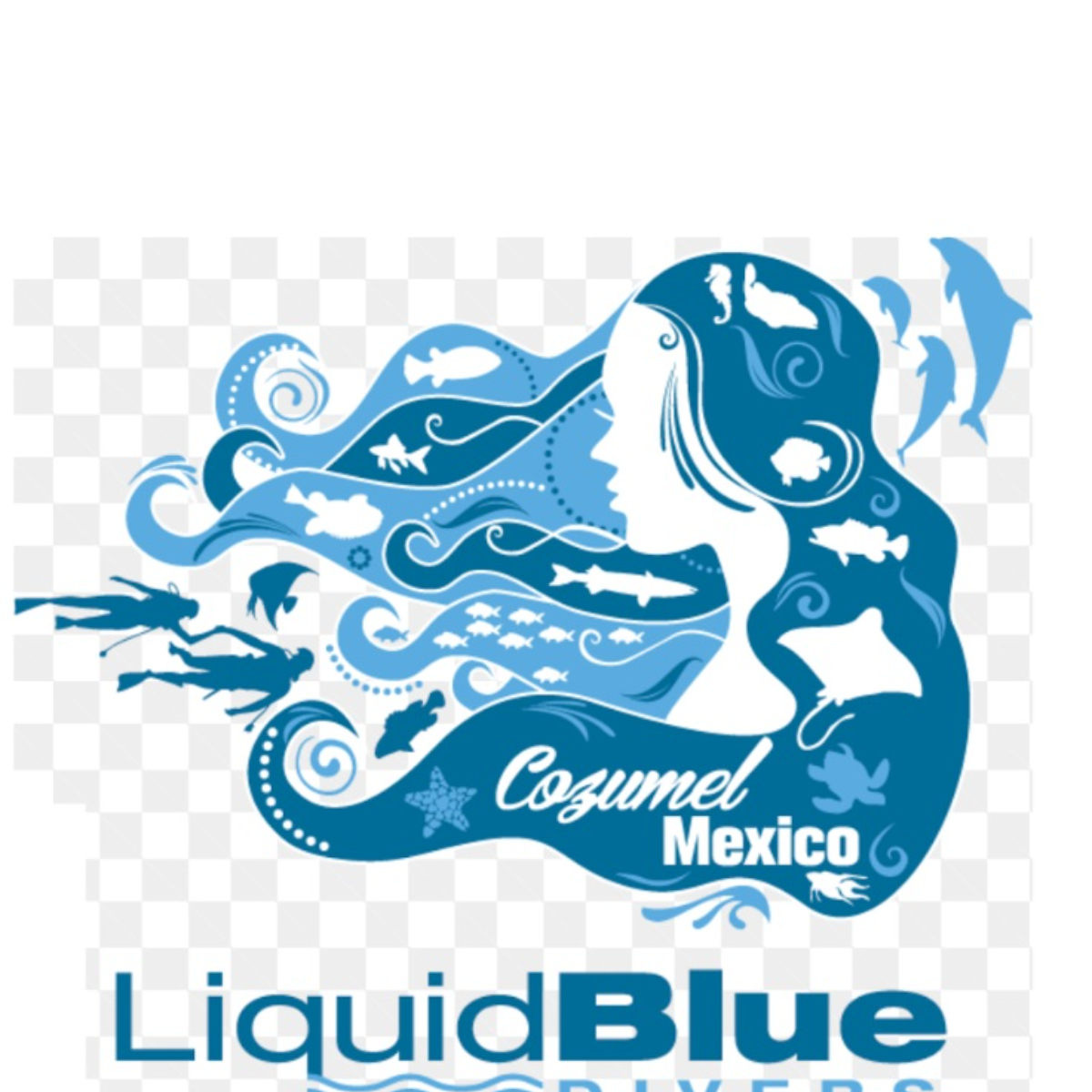 Liquid Blue Divers Cozumel