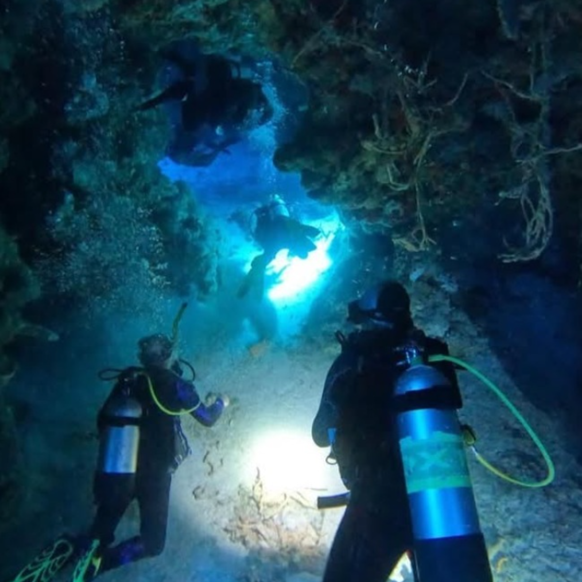 Living Underwater Cozumel