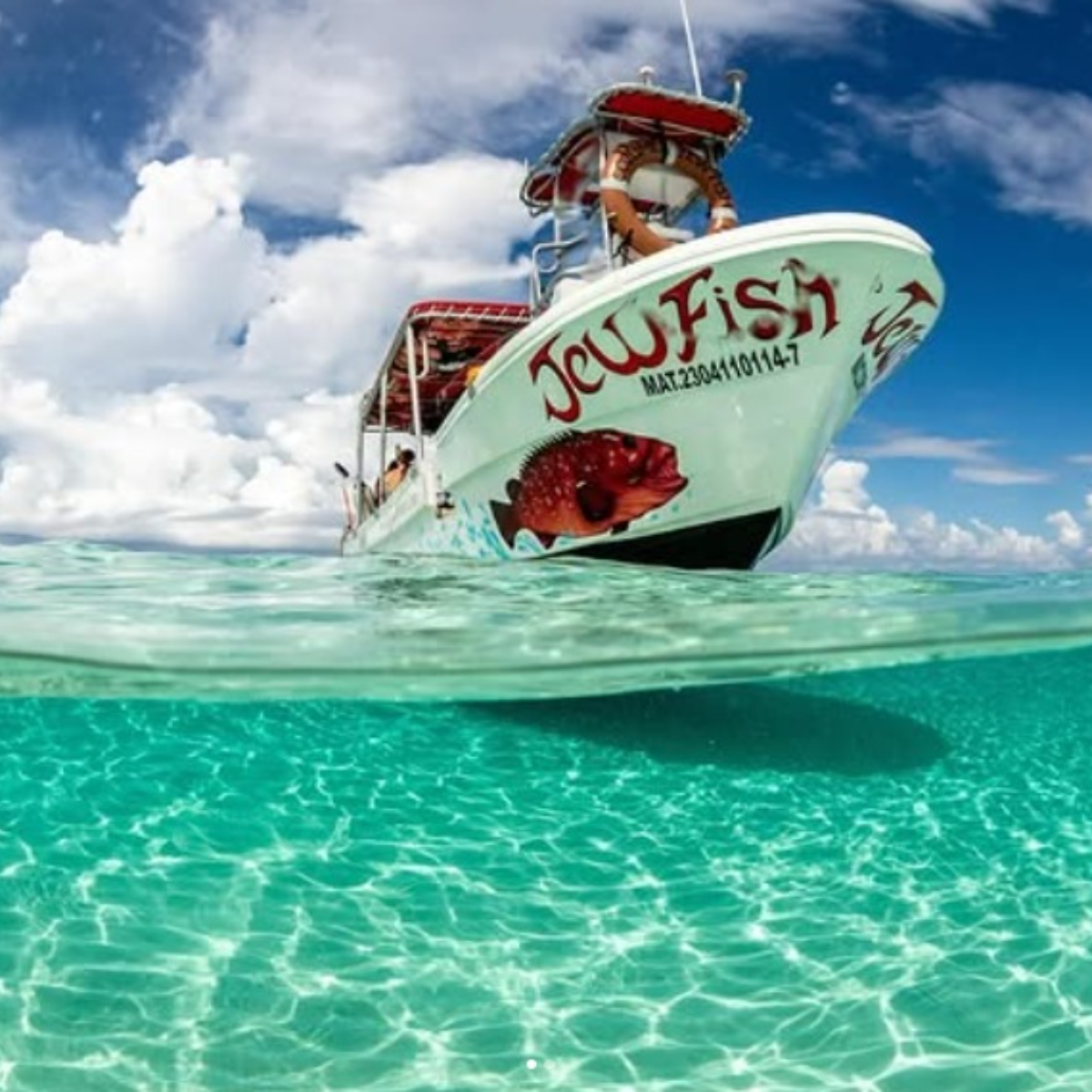 Living Underwater Cozumel