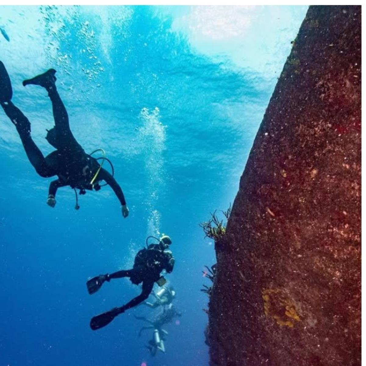 Living Underwater Cozumel