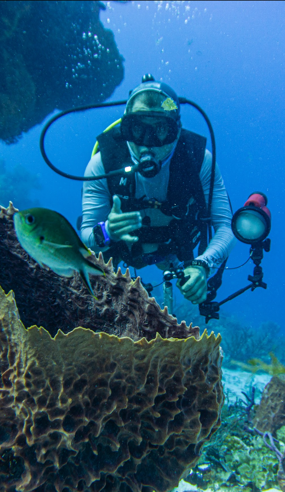 An underwater photograph of a scuba diver holding a camera rig next to a large sea fan coral and a green fish in a blue ocean.