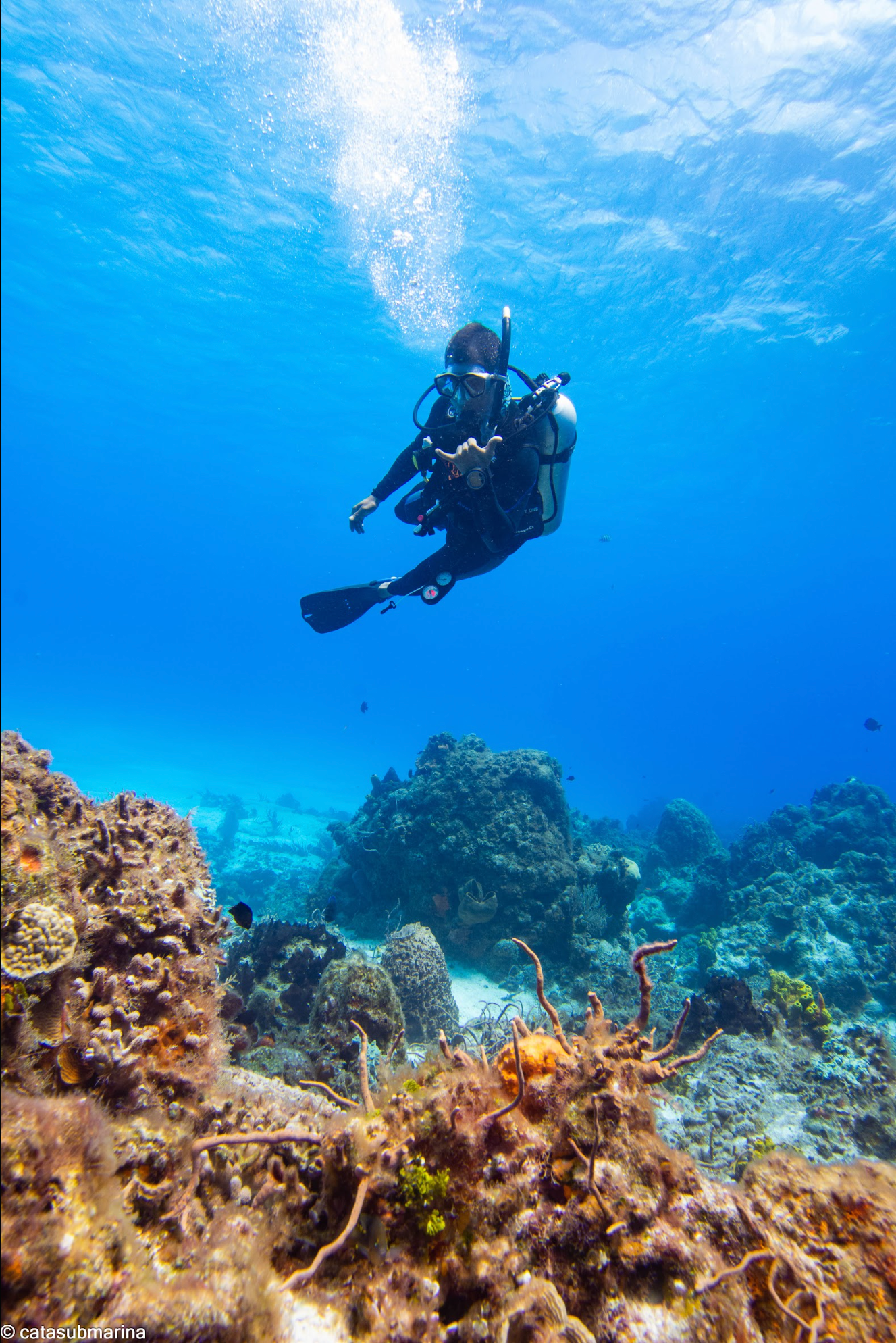 Octavius Silvestrus - Freelancer at Cozumel Dive Hub