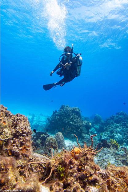 Octavius Silvestrus - Freelancer at Cozumel Dive Hub