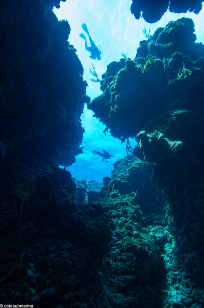 Octavius Silvestrus - Freelancer at Cozumel Dive Hub