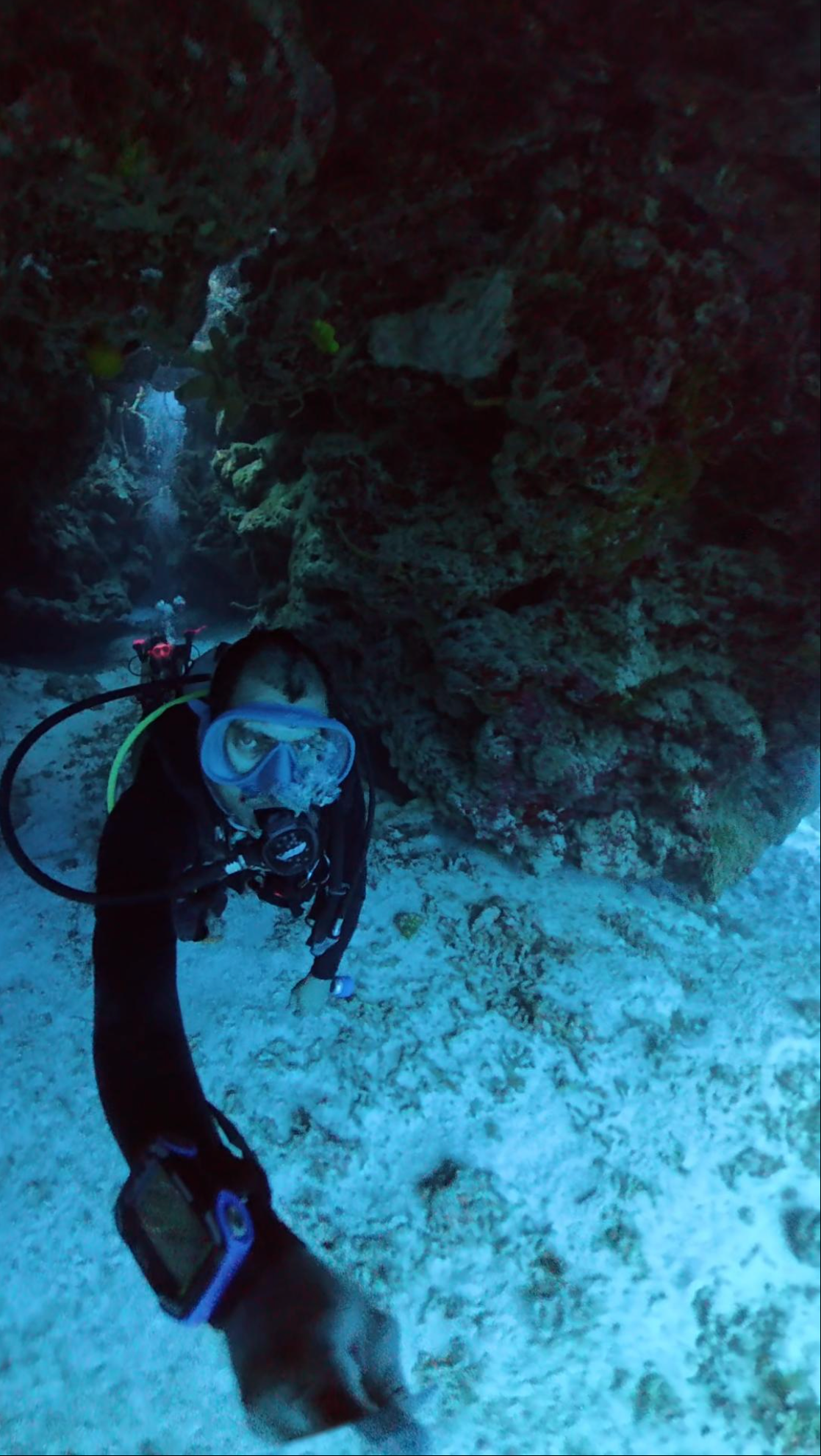 Octavius Silvestrus - Freelancer at Cozumel Dive Hub
