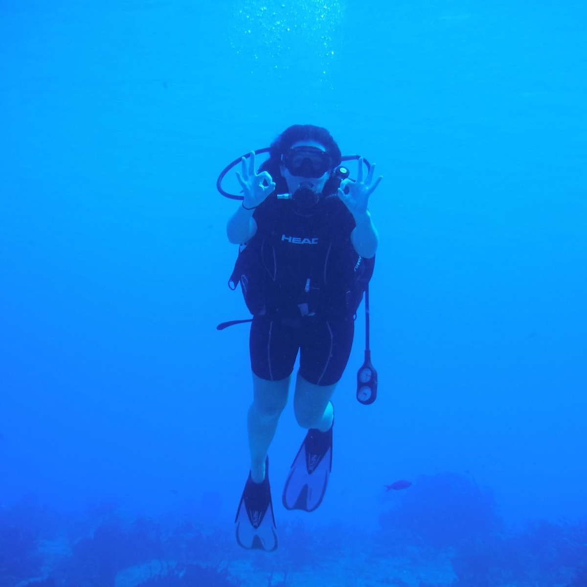 Papa Hogs Scuba Emporium Cozumel