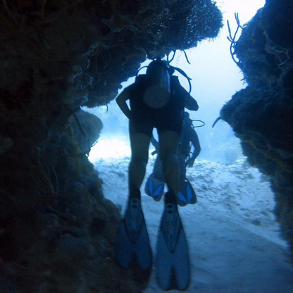 Papa Hogs Scuba Emporium Cozumel