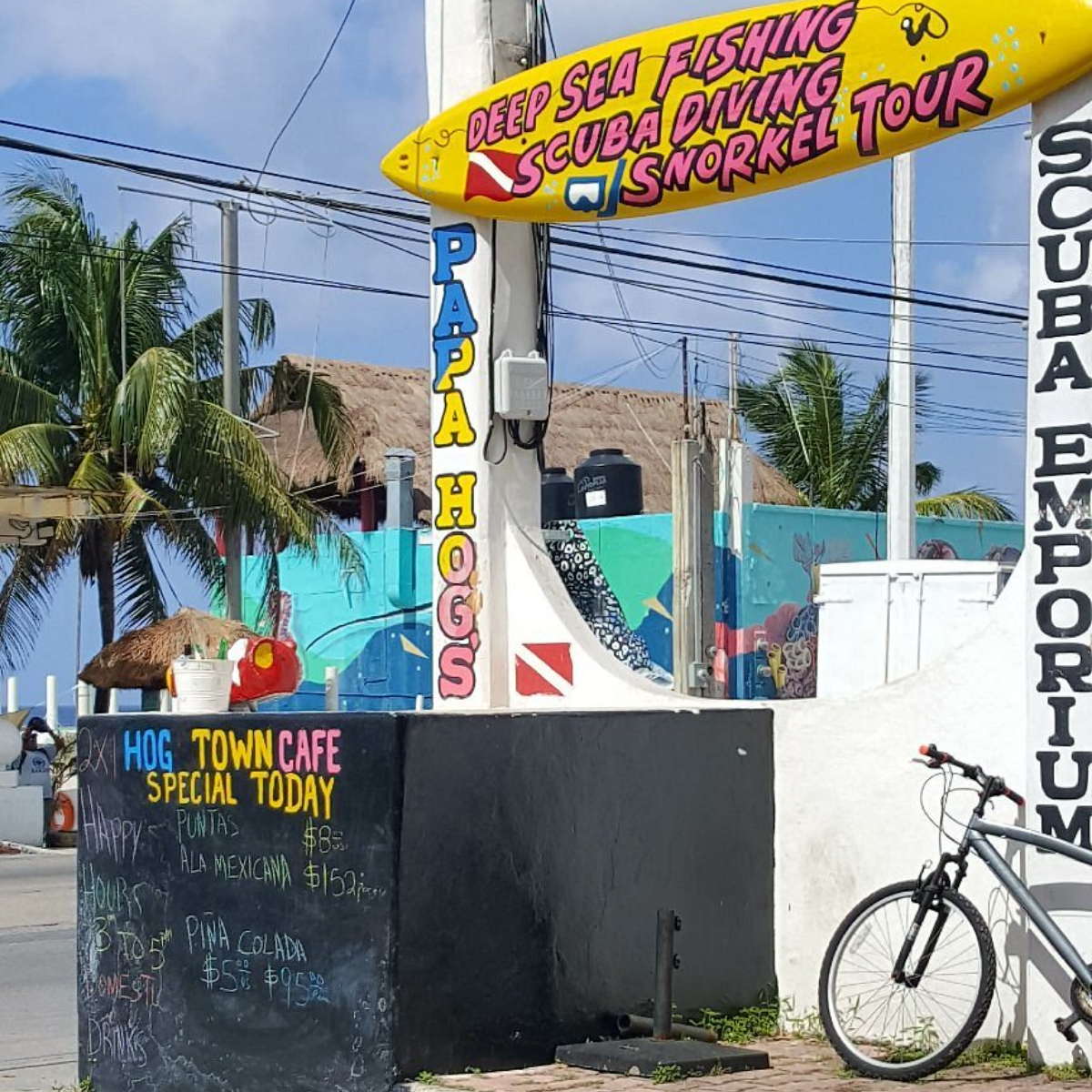 Papa Hogs Scuba Emporium Cozumel