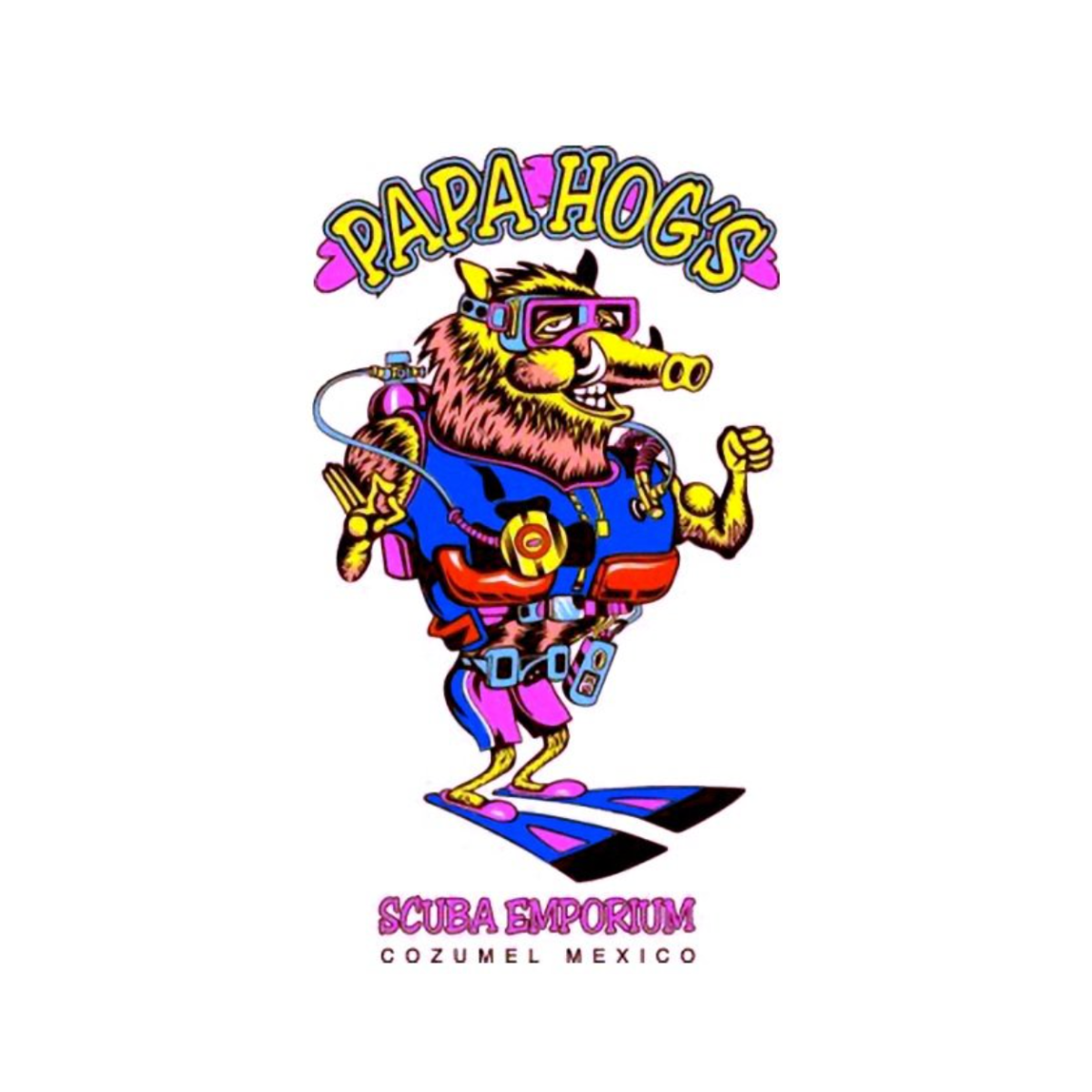 Papa Hogs Scuba Emporium Cozumel