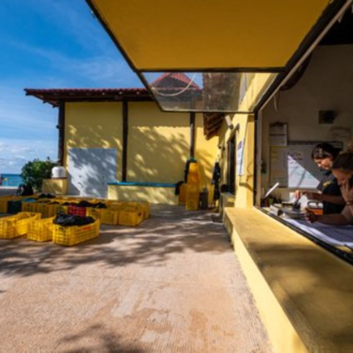ProDive International Cozumel