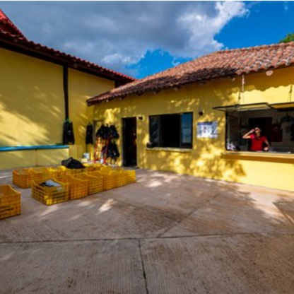 ProDive International Cozumel