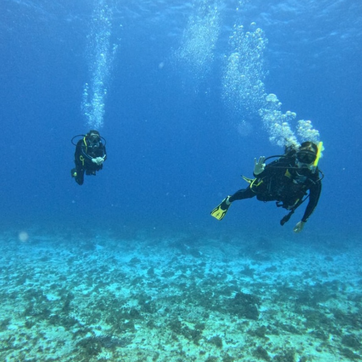Punta Sur Divers Cozumel