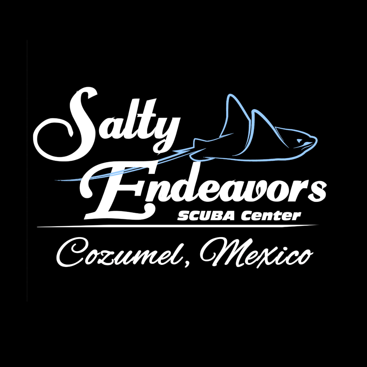 Salty Endeavors Cozumel