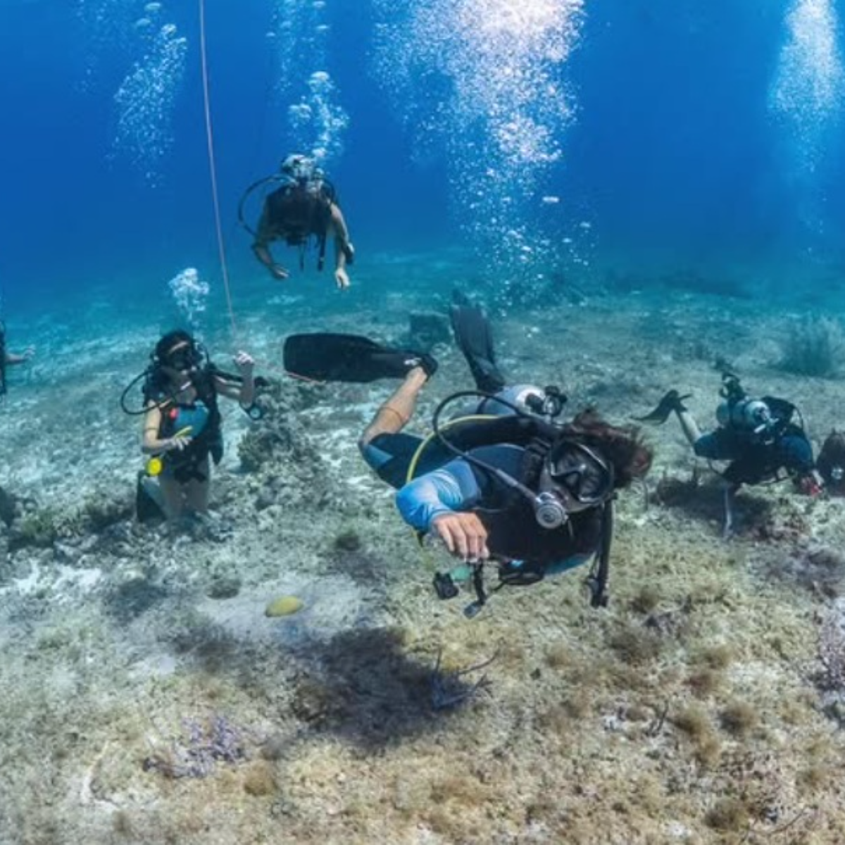 Sand Dollar Sports Cozumel