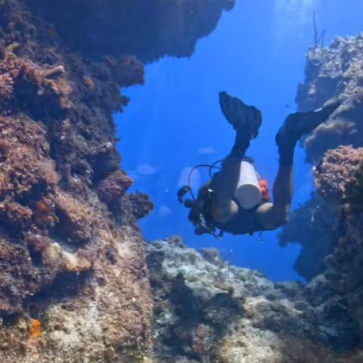 Sand Dollar Sports Cozumel