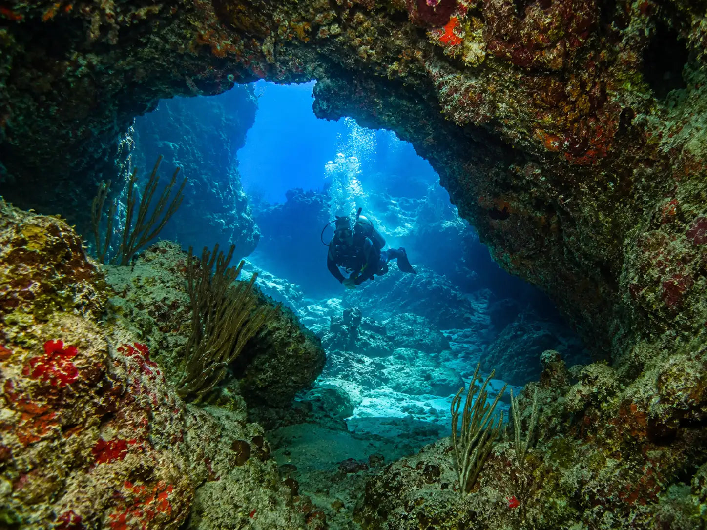 A scuba diver in black gear explores a vibrant coral reef through an underwater cave entrance.