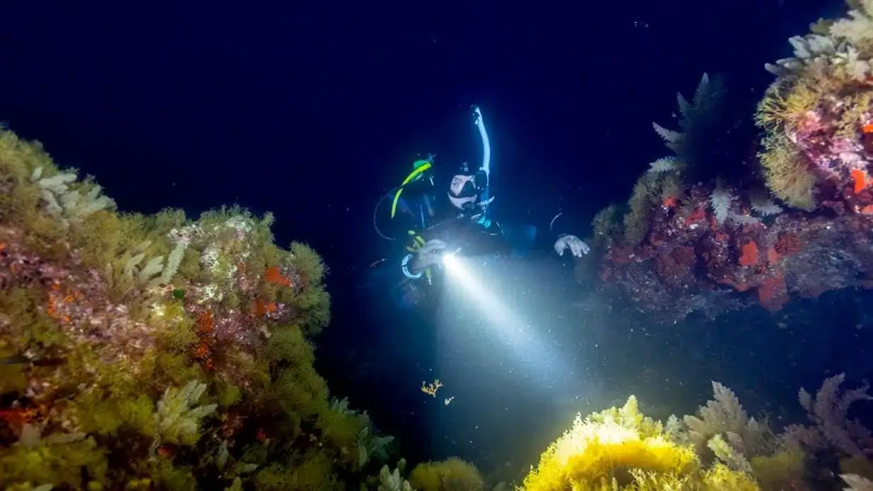 A scuba diver in black and green gear shines a bright white flashlight through the dark water, illuminating vibrant yellow and red coral formations.